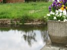 Lavoir de TOUTLEMONDE