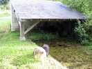 Lavoir de LA BREILLE LES PINS