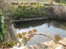 Lavoir de LE MESNIL EN VALLEE