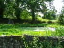 Lavoir de MOZE SUR LOUET