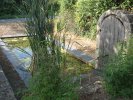 Lavoir de CONCOURSON SUR LAYON