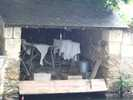 Lavoir de LONGUE JUMELLES