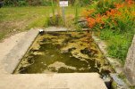 Lavoir de BRETTEVILLE EN SAIRE