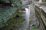 Lavoir de GRATOT