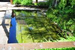 Lavoir de ST JEAN DE LA RIVIERE
