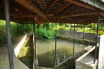 Lavoir de CERISY LA FORET