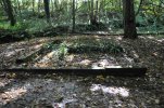 Lavoir de TAMERVILLE
