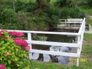 Lavoir de LE VICEL