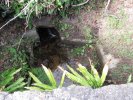 Lavoir de FERMANVILLE