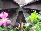 Lavoir de SEZANNE