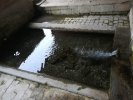 Lavoir de LUXEMONT ET VILLOTTE