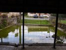 Lavoir de VILLENEUVE LA LIONNE