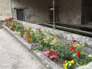 Lavoir de ENFONVELLE