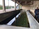 Lavoir de FOULAIN