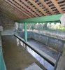 Lavoir de RUILLE FROID FONDS