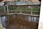 Lavoir de LA ROE