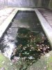 Lavoir de STE GEMMES LE ROBERT