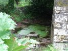 Lavoir de LANGUIDIC