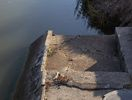 Lavoir de MARIGNY SUR YONNE
