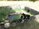 Lavoir de TINTURY
