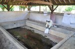 Lavoir de LA FERMETE