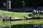 Lavoir de VARZY