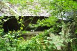 Lavoir de PARIGNY LES VAUX