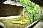 Lavoir de PARIGNY LES VAUX