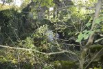 Lavoir de ST MALO EN DONZIOIS