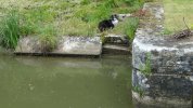 Lavoir de CHEVROCHES