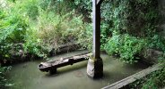 Photo envoyée par Jean-Marc ZBIESKI le 06/08/2017 à 18h47