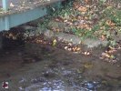 Lavoir de FLEURY