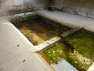 Lavoir de COURTIEUX