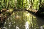 Lavoir de SAVIGNIES