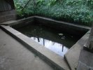Lavoir de ST GEORGES DES GROSEILLER