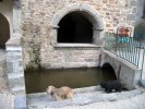 Lavoir de ST FLORET