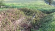 Photo envoyée par fouchard jean-paul le 10/04/2017 à 16h48