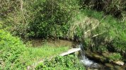Photo envoyée par fouchard jean-paul le 10/04/2017 à 16h55