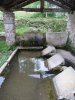 Lavoir de ST ETIENNE DE BAIGORRY