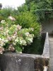 Lavoir de DIUSSE