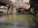 Photo envoyée par Jean-François DELETANG le 13/03/2015 à 11h24