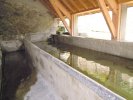 Lavoir de JUNCALAS