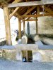 Lavoir de LOUBAJAC