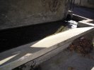 Lavoir de LUZ ST SAUVEUR