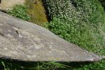 Lavoir de OLEAC DESSUS