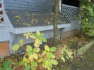 Lavoir de BAGNERES DE BIGORRE
