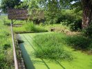 Lavoir de MAZEROLLES