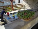 Lavoir de AVEUX
