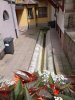 Photo envoyée par Bertrand jean claude le 13/10/2016 à 18h59