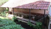 Lavoir de ROTHBACH